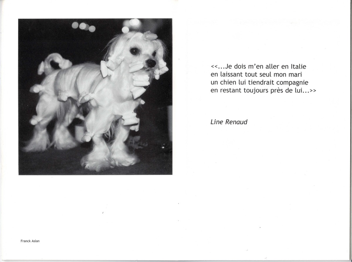 circus_asterides_2000-7