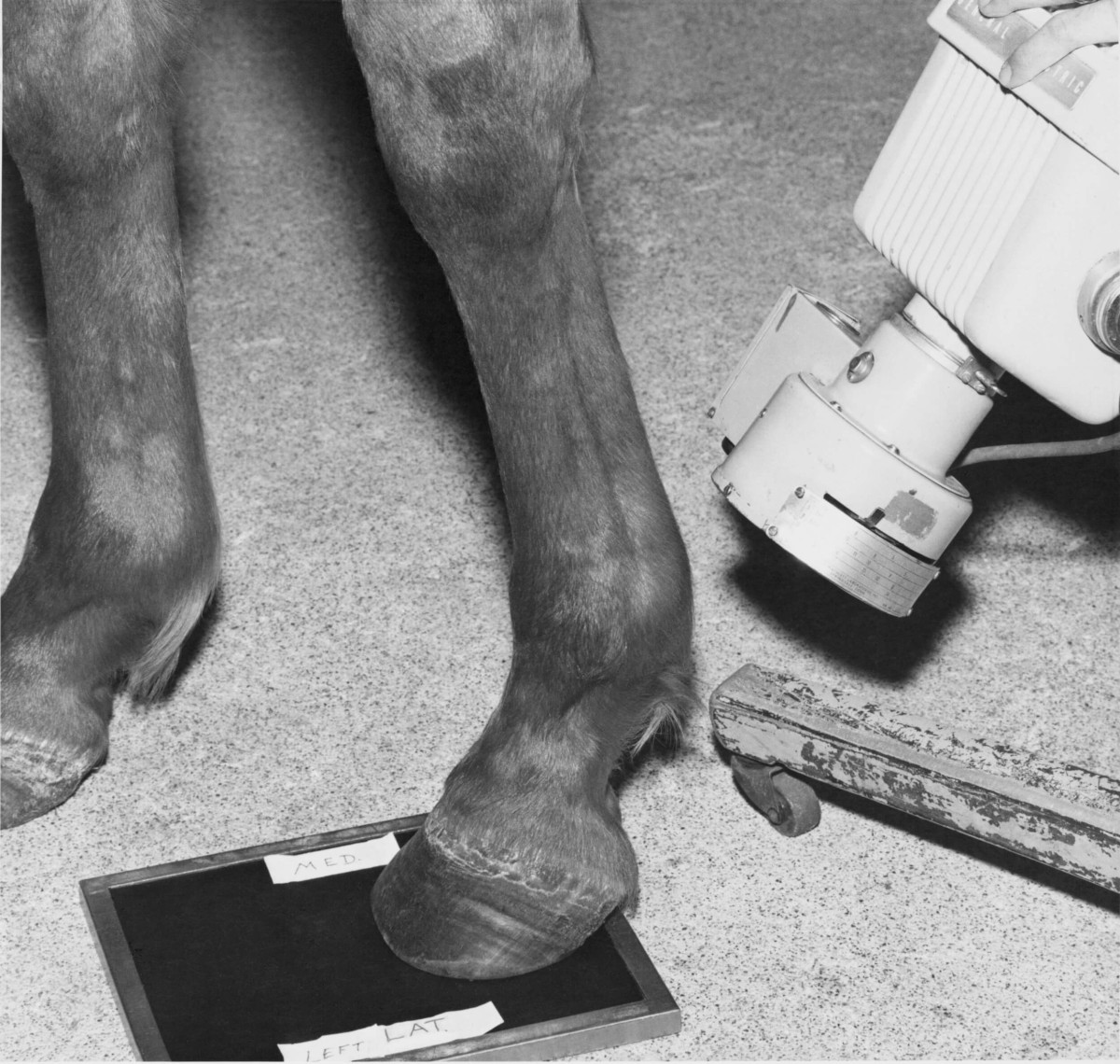 untitled_evidence_1977_larry_sultan_and_mike_mandel