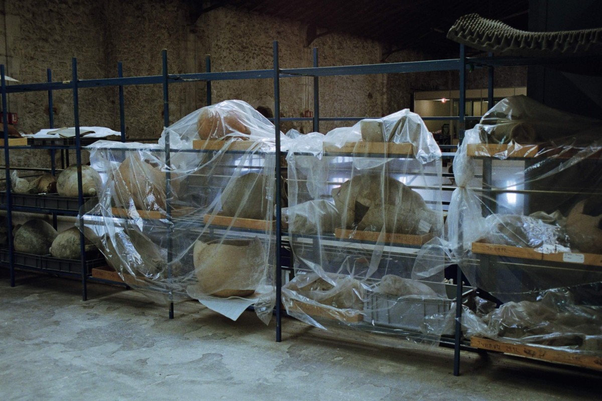 emii_alrai_capture_detail_2021__emii_alrai