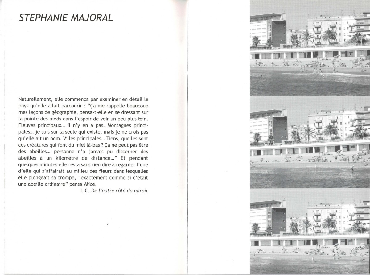 brun_houillier_majoral_mattei_scoccimaro_valdes_asterides_1999-3