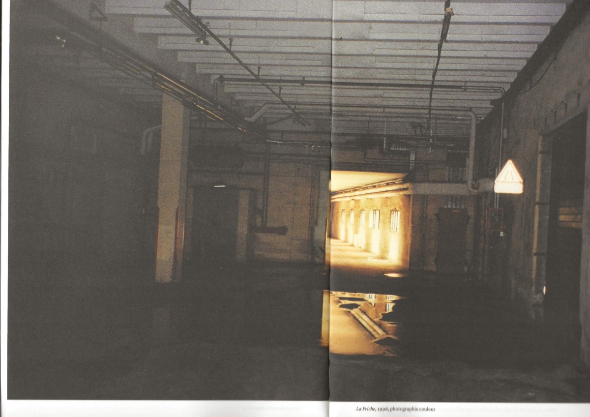 1996-photo-friche-par-maria-thereza-alves-dans-catalogue-20-ans2