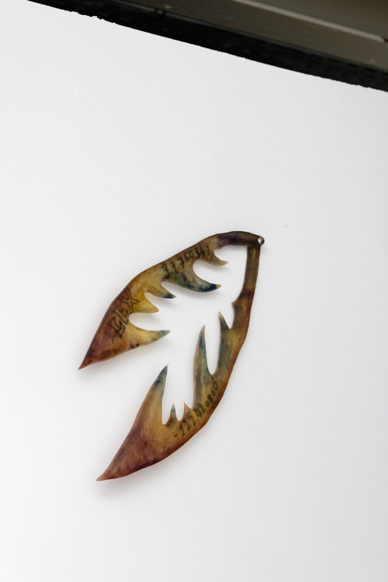 triangle-2024-hymne-aux-murenes-056