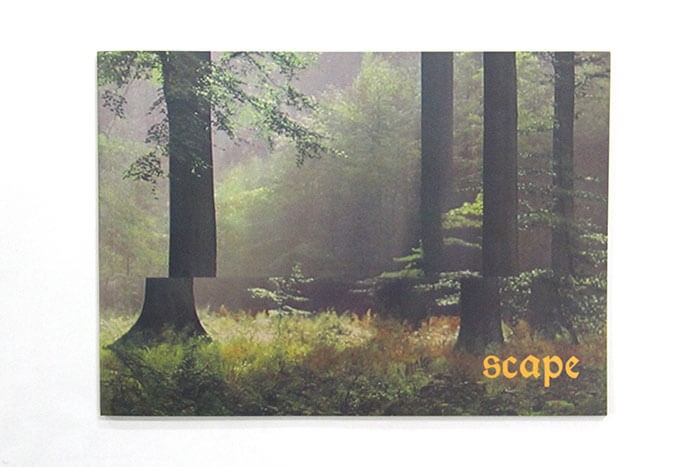 2005_scape_catalogue_photo_amelie_claude_1